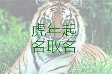 9劃的字屬虎|屬虎起名宜忌，屬虎取名禁忌，屬虎人取名字庫